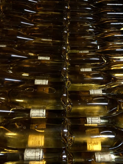 Wine bottles stored in rows at Domaine de l'Ocrerie, Pourrain, France wine cellar