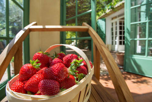 panier de fraises