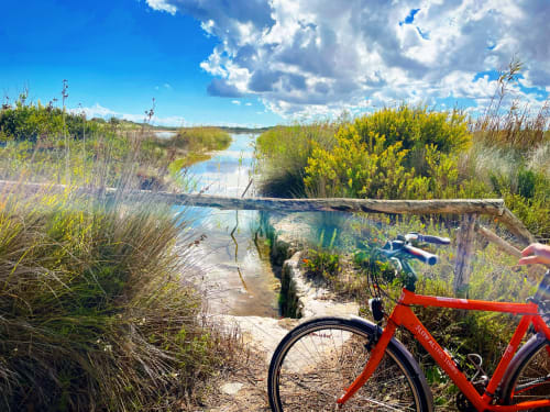 Red bike at wooden boardwalk overlooking wetland marshes at Masseria Vittoria, Acaya, Italy