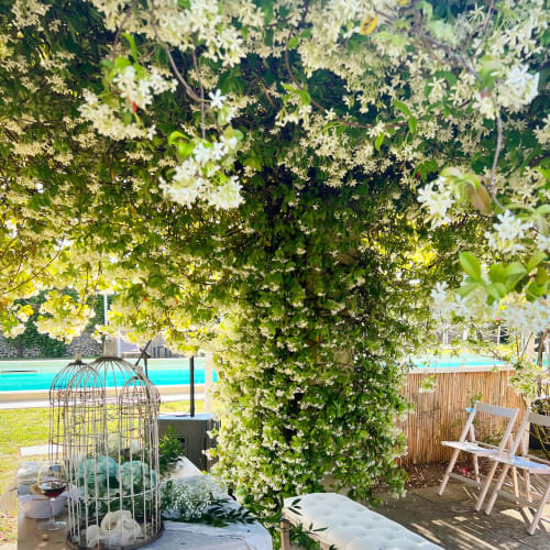 Lush flowering vines canopy over patio seating at Masseria Vittoria boutique hotel in Acaya, Italy, with pool visible