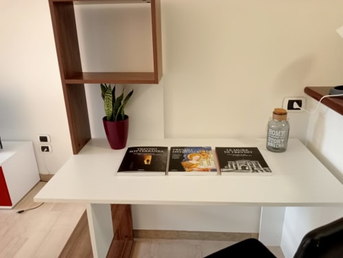 Scrivania minimalista nell'Appartamento GioviGemini a Treviso con scaffali, pianta in vaso e libri