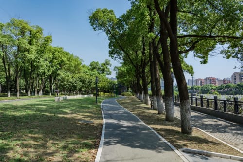 Sendero arbolado en parque de León junto al hotel Río Cares, con vegetación exuberante y edificios de la ciudad al fondo
