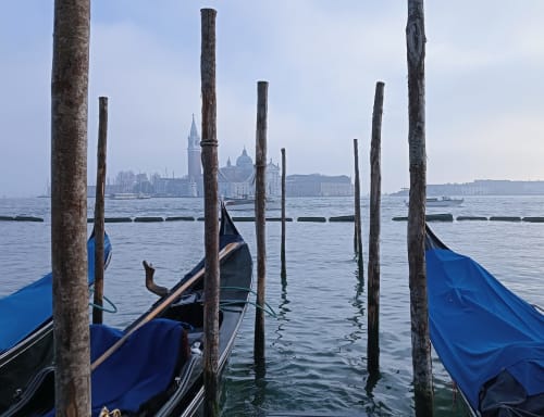 Gondole ormeggiate nella laguna di Venezia con basilica storica e campanile sullo sfondo, vicino a Treviso