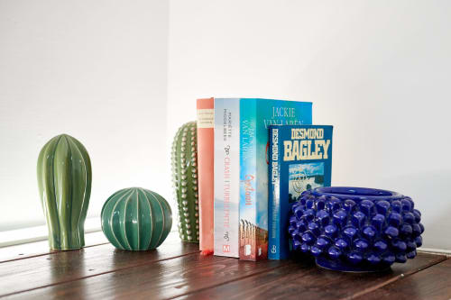 Decorative shelf display with cacti, books, and blue ceramic sphere at CefalHome Roma