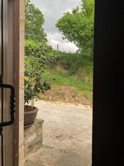 Vista del balcón del apartamento Casa Lafuente en Lukiano con planta en maceta, patio y paisaje rural verde