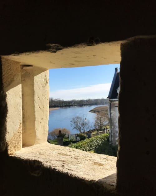 beau point de vue sur la Loire - Logis escale grand gite saumur