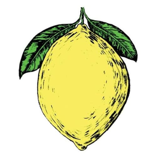 Fresh yellow lemon with green leaves, Domaine de l'Ocrerie bed and breakfast in Pourrain, France