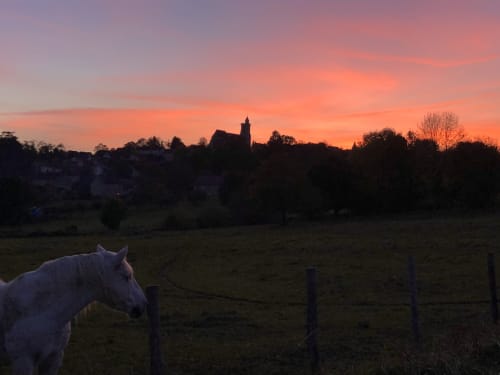 Caballo blanco pastando al atardecer cerca del Domaine de l'Ocrerie en Pourrain, Francia, con silueta de iglesia