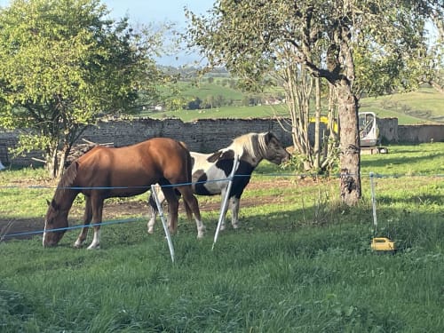 Des hébergements pour les amateurs de chevaux et d'équitation, à moins d'une heure de Lyon