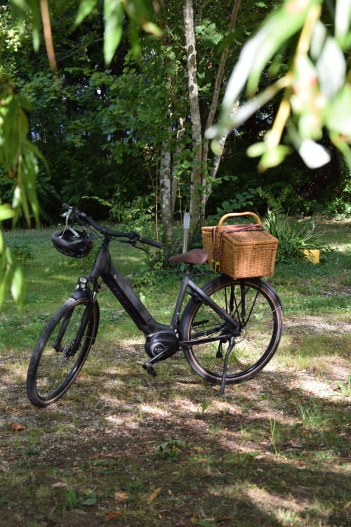 Bicicleta eléctrica negra con cesta de mimbre estacionada en el camino del jardín en el Domaine de l'Ocrerie en Pourrain, rodeada de vegetación