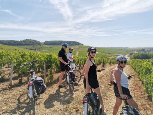 Cyclists on vineyard tour near Domaine de l'Ocrerie in Pourrain, France