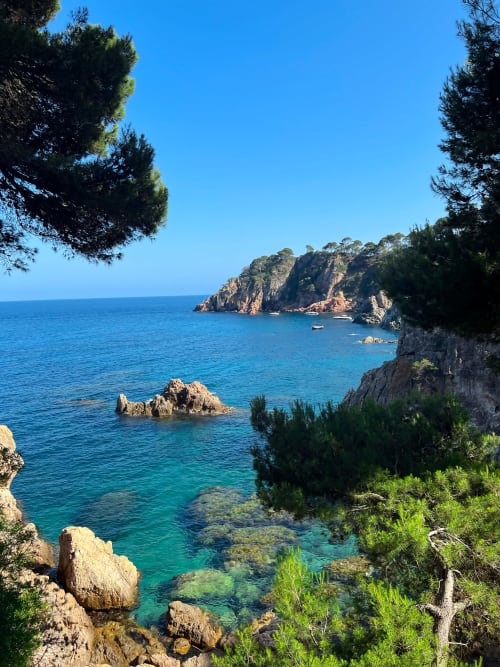 Cala mediterránea turquesa con acantilados rocosos y pinos cerca de la propiedad de alquiler en Estartit, España