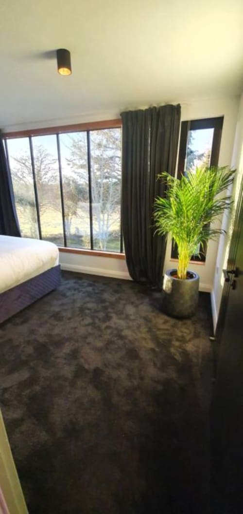 Contemporary suite bedroom with garden views, dark curtains, potted plant, bed, and ceiling spotlight at Dublin Exchange