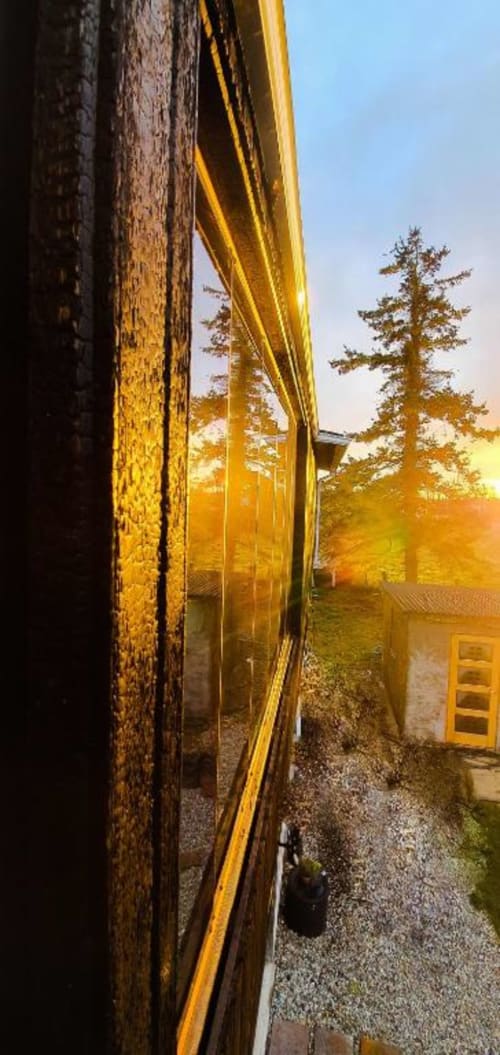 Golden sunset light illuminates a modern villa terrace and garden at Dublin Exchange Suites, with a tall pine tree visible