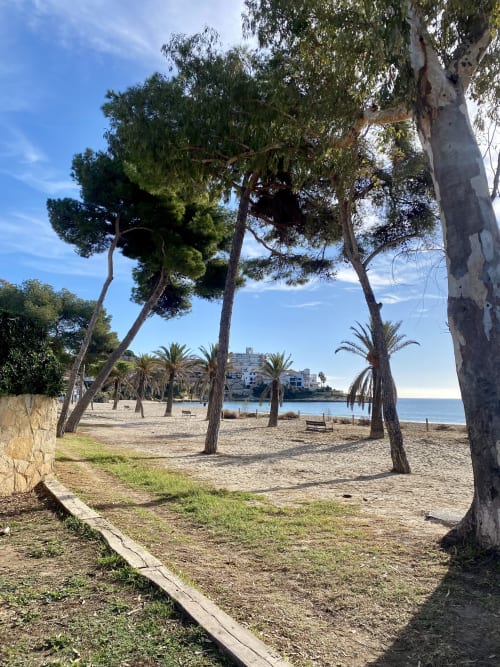 Parque beachfront de BondBeach Village en Altafulla con pinos, playa de arena y vistas al mar Mediterráneo