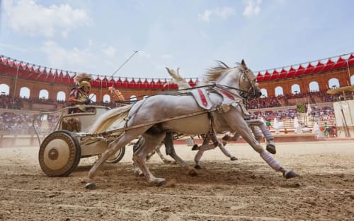 Chambres d’hôtes en Vendée, proches du Puy du Fou, idéales pour famille, détente et visite du Signe du Triomphe.