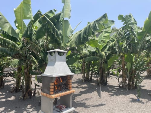 Barbacoa en el alquiler vacacional en La Palma de Tajuya Luxury Villas, rodeada de exuberantes plantaciones de plátanos.