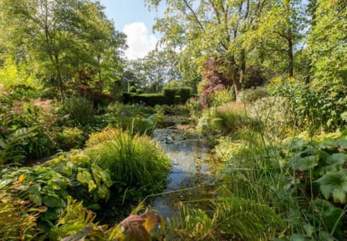 Bassin tranquille du jardin des Gîtes Les Rainettes à Vienne-en-Bessin, entouré de verdure luxuriante et d'arbres matures