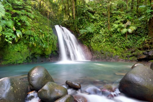 cascade