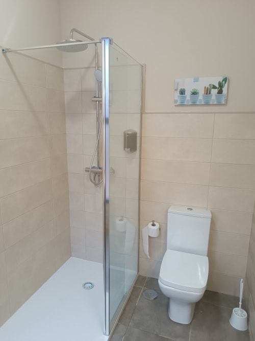Baño moderno en Apartamentos Turísticos Ávila con ducha tipo cabina, inodoro y estantería de amenidades