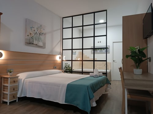 Dormitorio moderno en Apartamentos Turísticos Ávila con cama, cabecero de madera, mampara de cristal, escritorio, TV y planta en maceta