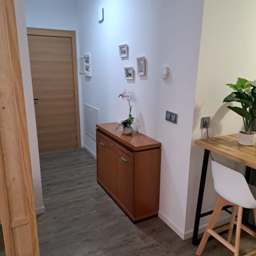 Pasillo moderno de Apartamentos Turísticos Ávila con mueble de madera, orquídea, escritorio y planta decorativa