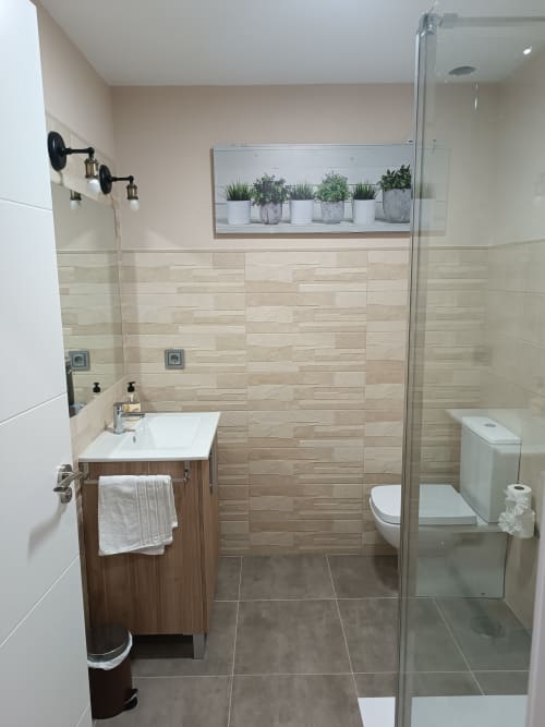Baño moderno en Apartamentos Turísticos Ávila con ducha tipo walk-in, lavamanos, inodoro y plantas decorativas
