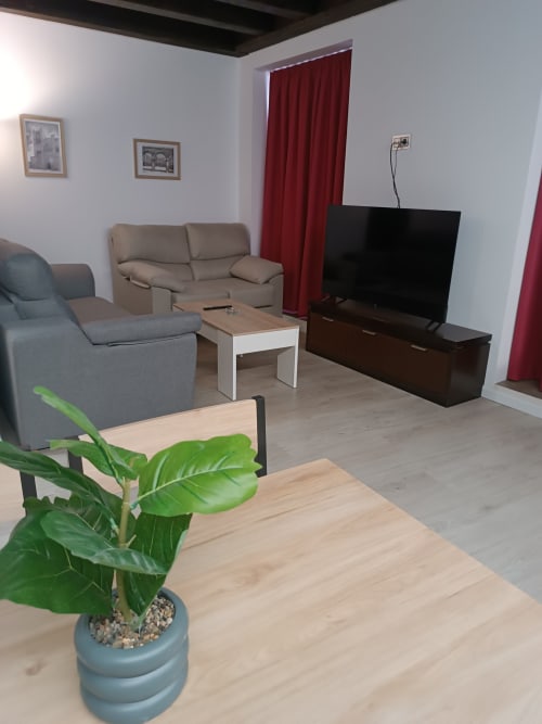 Sala moderna en Apartamentos Turísticos Ávila con sofás grises, televisor de pantalla plana, mesas de madera y plantas decorativas