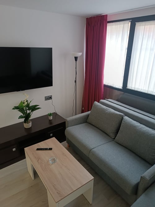 Sala moderna en Apartamentos Turísticos Ávila con sofá gris, TV de pantalla plana, mesa de centro de madera y detalles burdeos