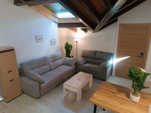 Sala moderna con sofás grises, claraboya, vigas de madera y plantas - Apartamentos Turísticos Ávila