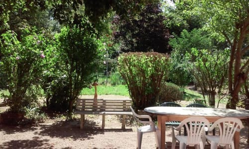 Le jardin sous le soleil, à la belle saison.