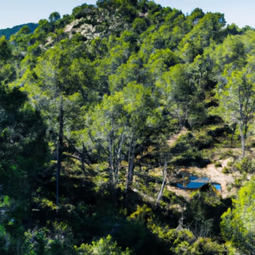 Fotografía de un hermoso paisaje natural en la montaña Montnegre