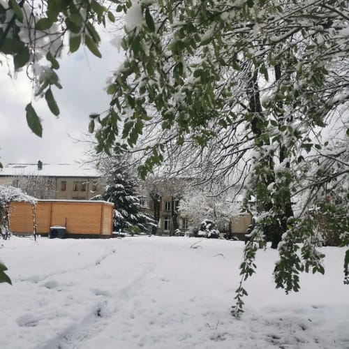 Bastide du Thoré en hiver sous la neige à Labastide-Rouairoux, avec arbres enneigés et bâtiments traditionnels
