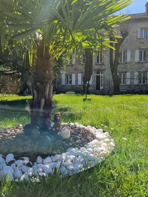 Étang du jardin de la Bastide du Thoré avec palmier, pierres blanches et demeure en pierre à Labastide-Rouairoux