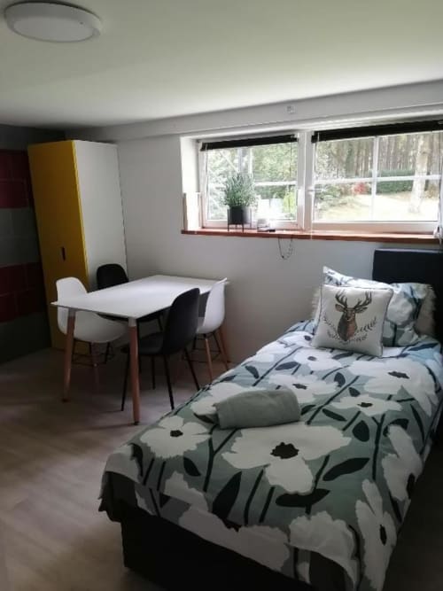 View of the garden and the forest.