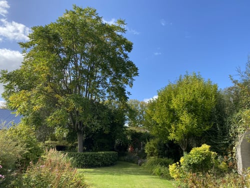 Jardin secret au coeur d'Abbeville d'une maison d'hôtes en Baie de Somme