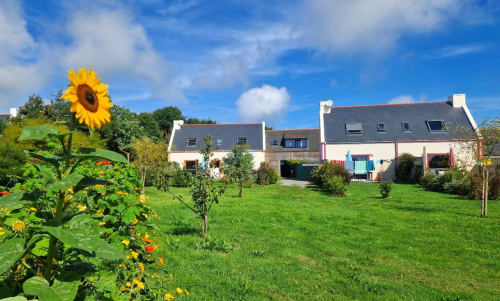 Les maisons de Kerdavid île et le parc qui entourent les dernières locations en ossature bois à belle île en mer - nature, calme et déconnexion
