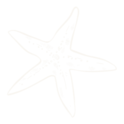 estrela de Mar