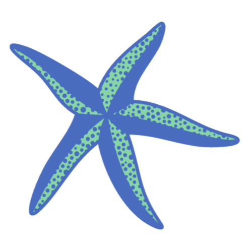 estrela de Mar