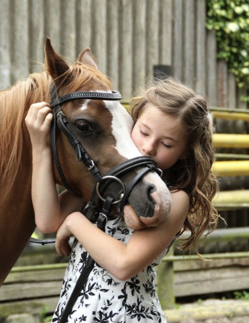 Young girl hugging a brown and white pony with black halter at Domaine de Bize, Mirepoix