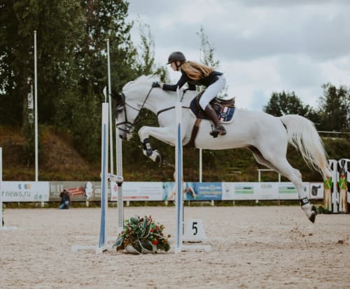 Equestrian event at Domaine de Bize near Mirepoix, Ariège, France - horse and rider jumping obstacle