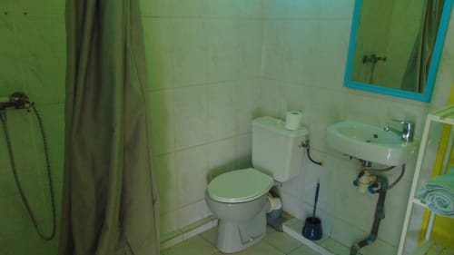 Salle de bains du cottage Caribgites à Sainte-Anne avec toilettes, lavabo, douche à rideau et carrelage vert