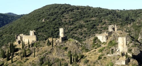 Ruines de château médiéval perchées sur une colline boisée près de Labastide-Rouairoux, France à la Bastide du Thoré