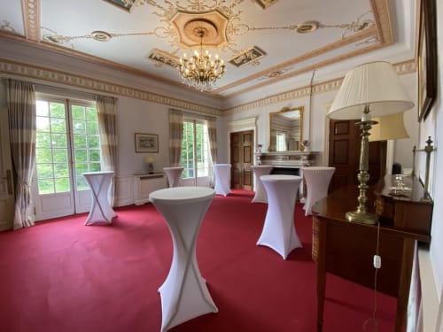 Élégant salon de bal du Domaine de Bize Mirepoix avec tapis rouge, lustre en cristal et décor classique français