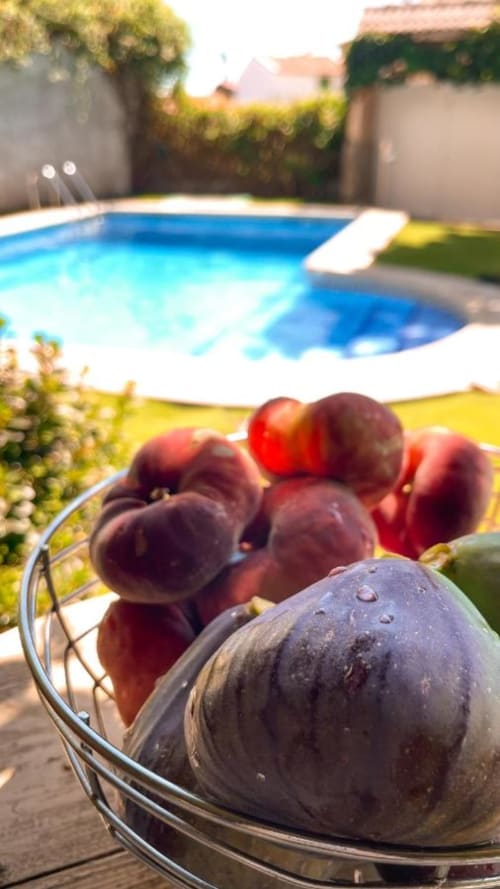 Frutas frescas en un cuenco con vista a la piscina en Casa Rural Villa del Jerte