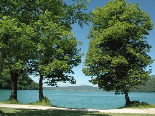 Vue sur le lac turquoise encadrée par de grands arbres verts au bord du lac de Chalain France