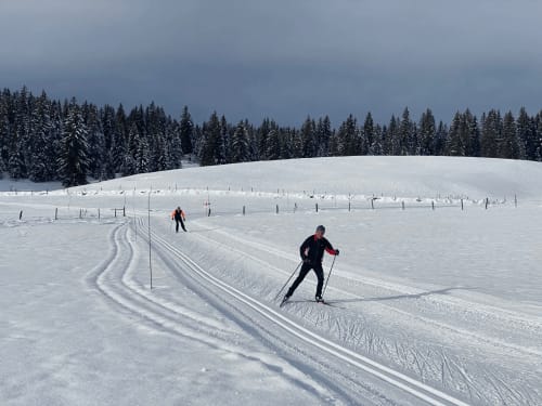 Skieurs de fond sur un sentier enneigé bordé de forêt de sapins aux Gîtes Des Planchettes, Marigny