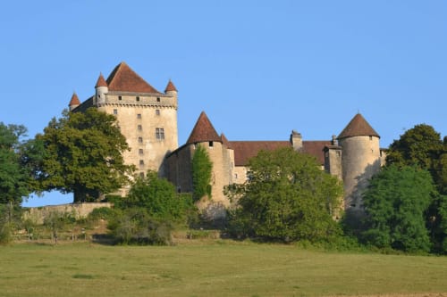Château médiéval avec tours dominant les jardins verdoyants près de Marigny, France