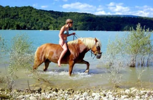 Homme à cheval brun dans l'eau peu profonde du lac près des Gîtes Des Planchettes, forêt de Marigny en arrière-plan