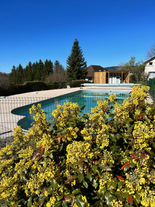 Piscine aux fleurs jaunes aux Gîtes Des Planchettes à Marigny, entourée de sapins et de montagnes